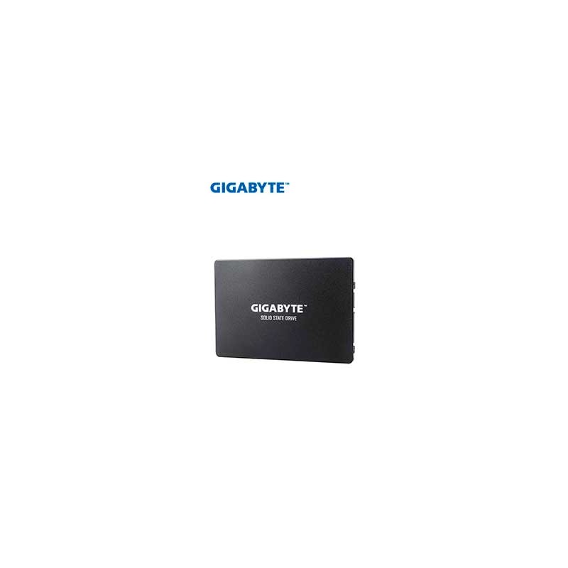 Unidad en estado solido Gigabyte GP-GSTFS31240GNTD, 240GB
