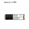 Unidad en estado solido TG MS30 M.2 2280 256GB